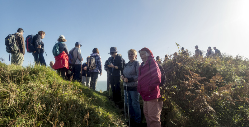 Photograph of Walking Route - Image 33