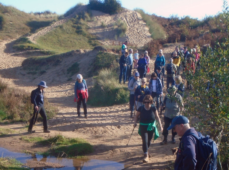 Photograph of Walking Route - Image 35