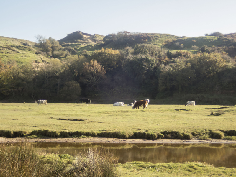 Photograph of Walking Route - Image 41