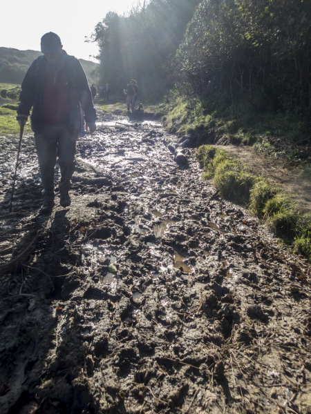 Photograph of Walking Route - Image 47