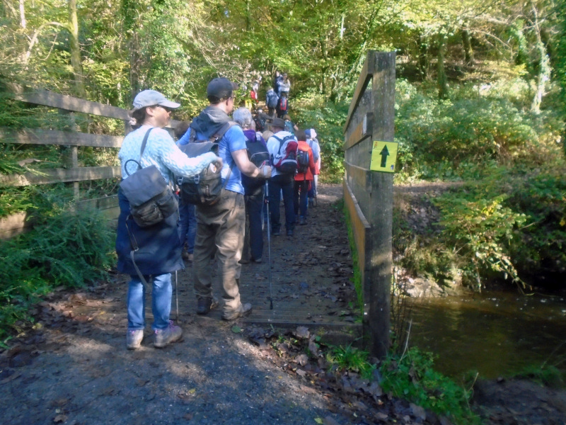 Photograph of Walking Route - Image 49