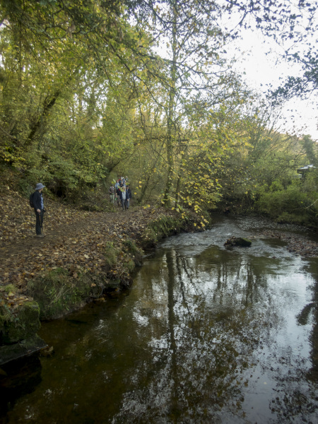Photograph of Walking Route - Image 51