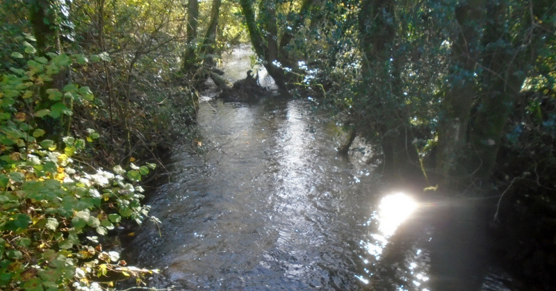 Photograph of Walking Route - Image 52