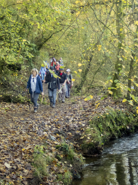 Photograph of Walking Route - Image 53