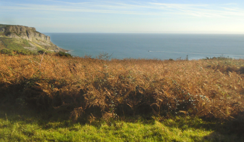 Photograph of Walking Route - Image 4