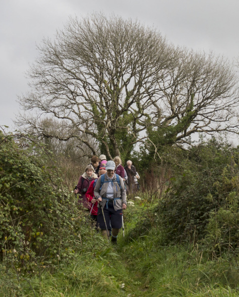 Photograph of Walking Route - Image 13