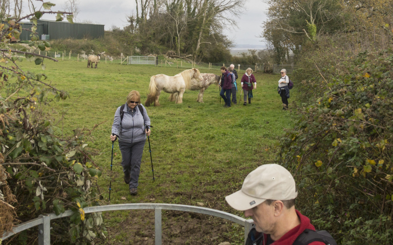 Photograph of Walking Route - Image 16