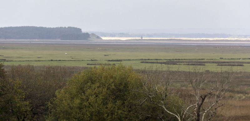 Photograph of Walking Route - Image 30