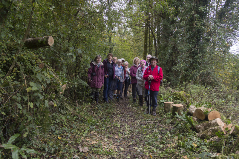 Photograph of Walking Route - Image 32