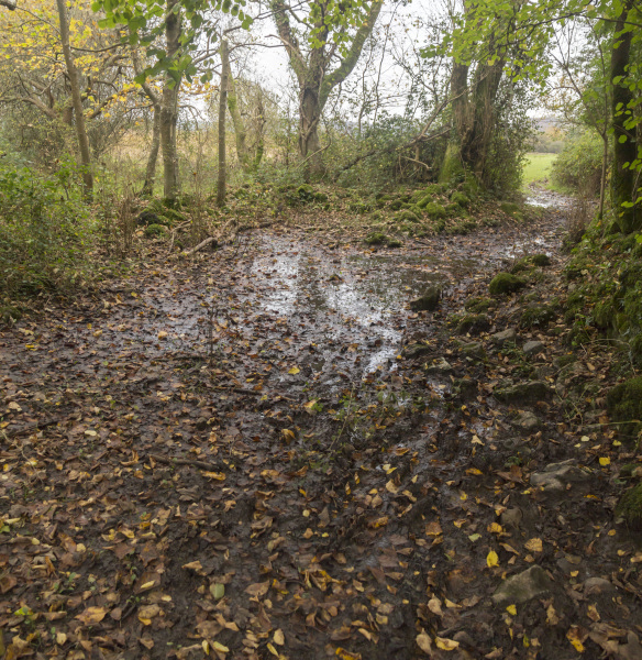 Photograph of Walking Route - Image 33