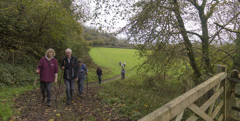 Photograph of Walking Route - Image 36
