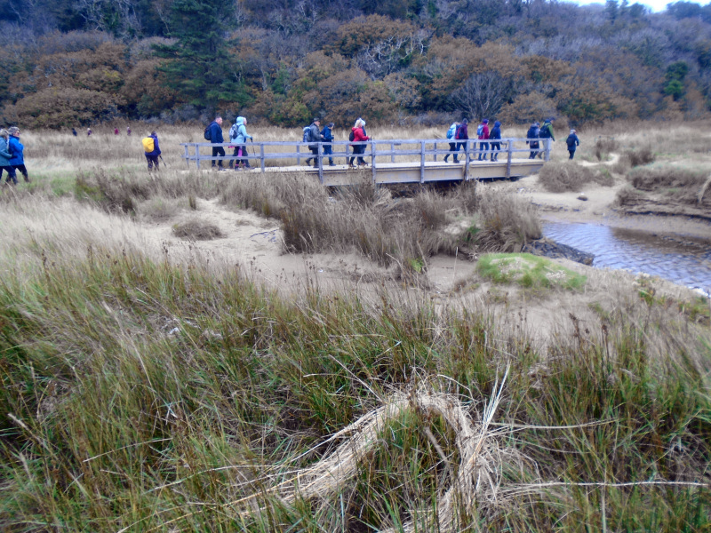 Photograph of Walking Route - Image 12