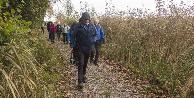 Photograph of Walking Route - Image 16