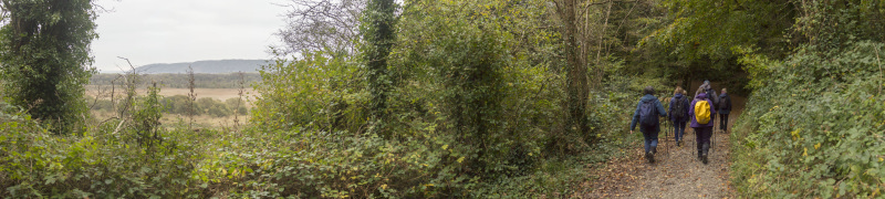 Photograph of Walking Route - Image 17