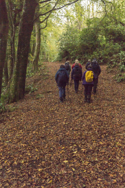 Photograph of Walking Route - Image 18