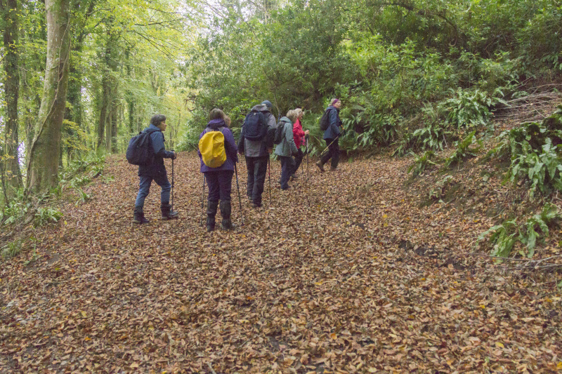 Photograph of Walking Route - Image 19