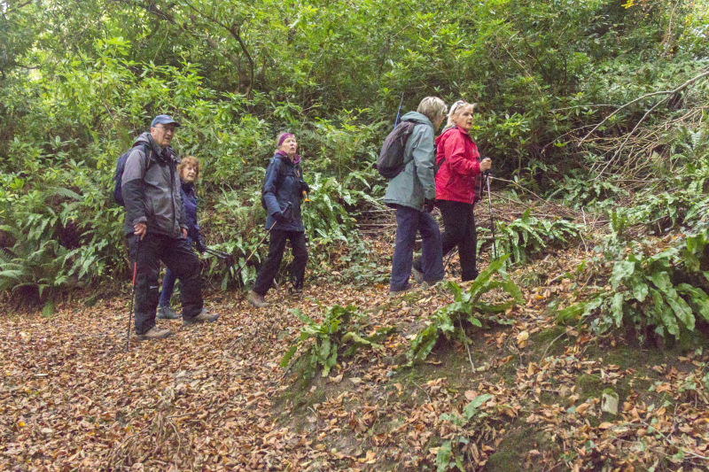 Photograph of Walking Route - Image 20