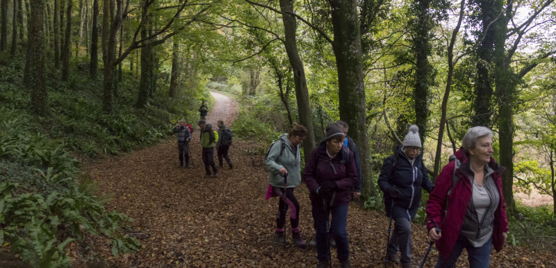 Photograph of Walking Route - Image 21