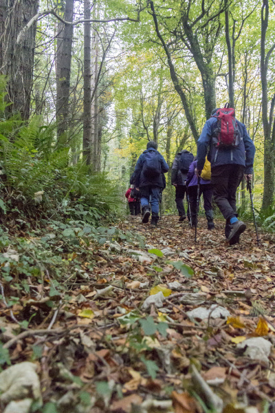 Photograph of Walking Route - Image 22