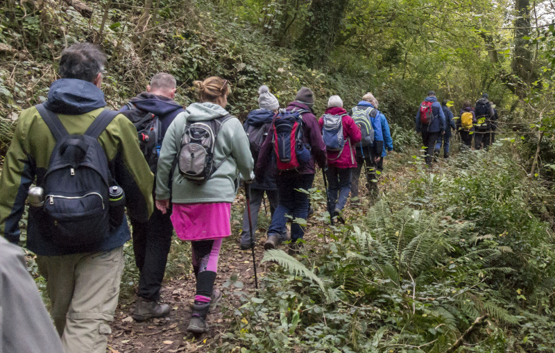Photograph of Walking Route - Image 24