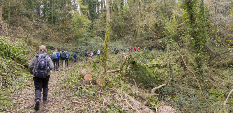 Photograph of Walking Route - Image 27