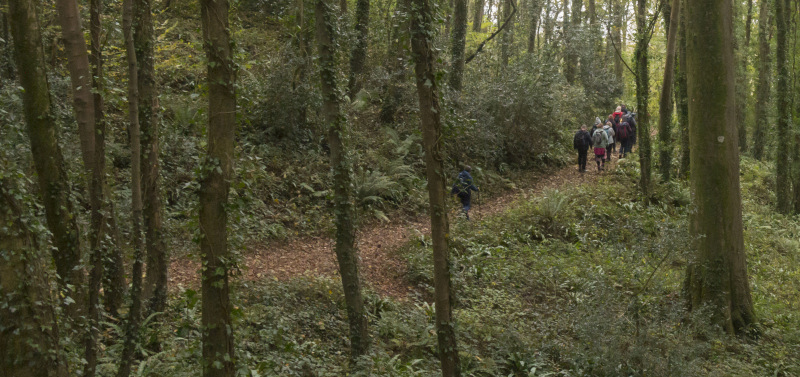 Photograph of Walking Route - Image 28