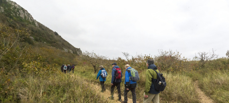 Photograph of Walking Route - Image 29