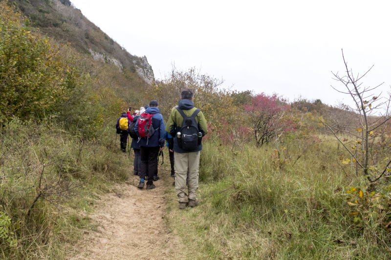 Photograph of Walking Route - Image 30