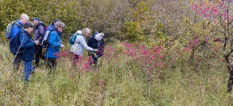Photograph of Walking Route - Image 31