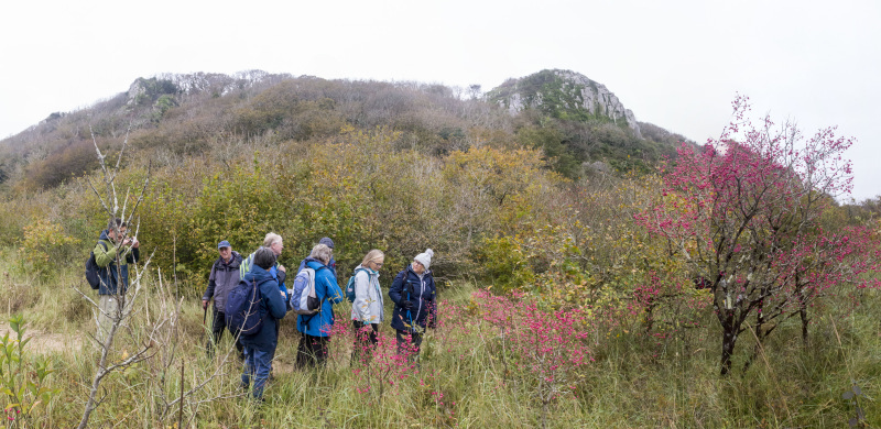 Photograph of Walking Route - Image 32