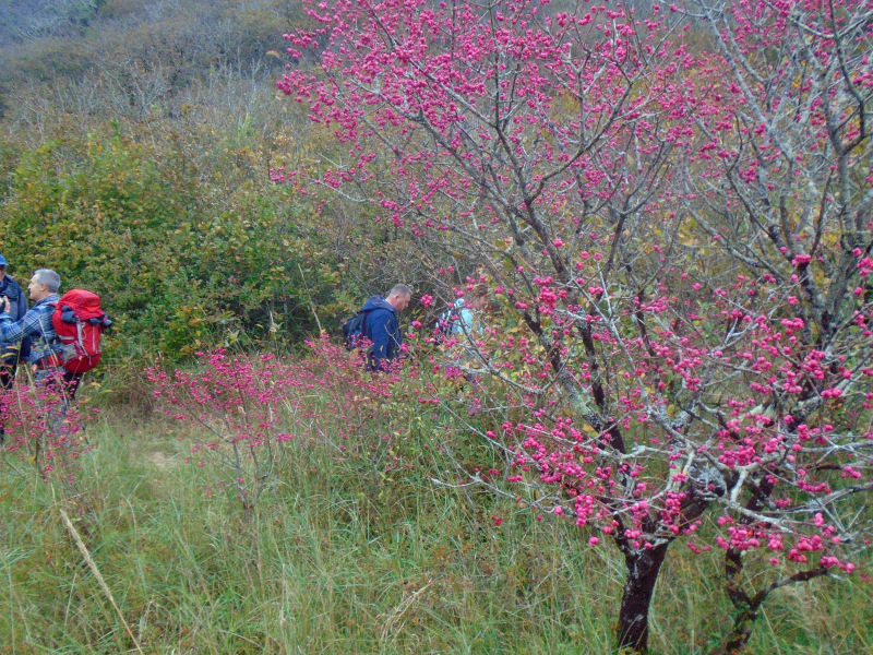 Photograph of Walking Route - Image 33
