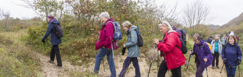 Photograph of Walking Route - Image 34