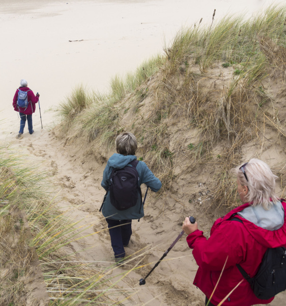 Photograph of Walking Route - Image 38