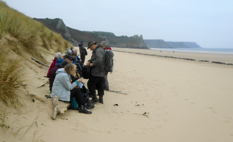 Photograph of Walking Route - Image 39