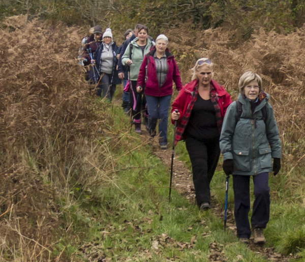 Photograph of Walking Route - Image 48