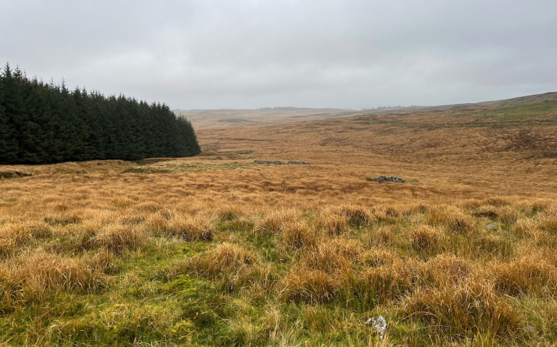 Photograph of Walking Route - Image 7