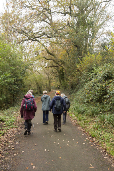 Photograph of Walking Route - Image 3