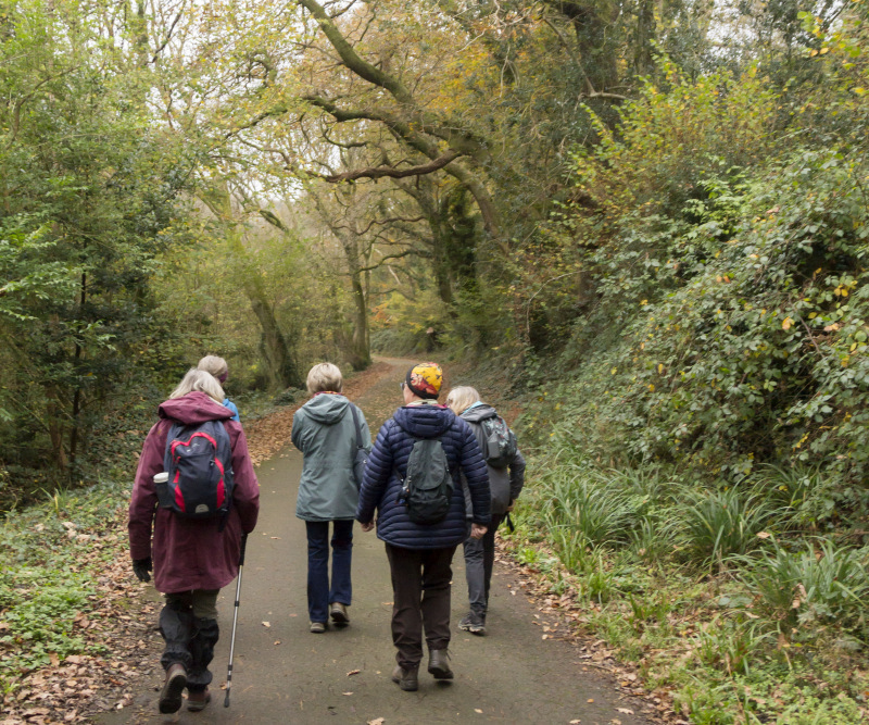 Photograph of Walking Route - Image 4