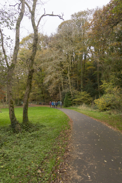 Photograph of Walking Route - Image 5