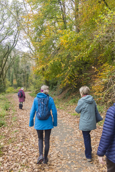 Photograph of Walking Route - Image 8