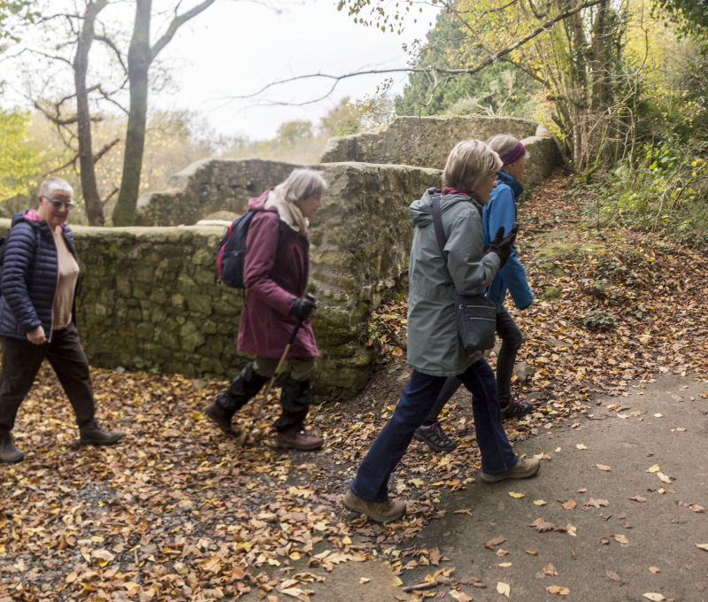 Photograph of Walking Route - Image 11