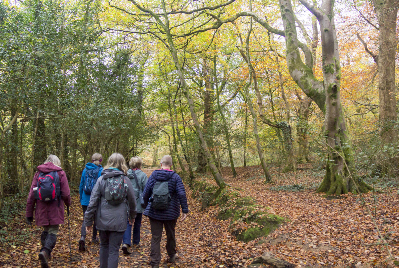 Photograph of Walking Route - Image 12