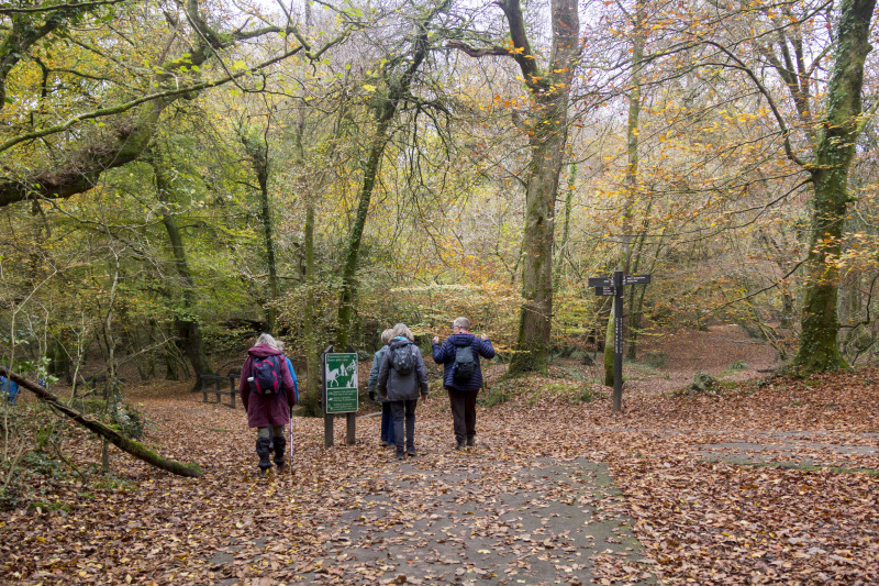 Photograph of Walking Route - Image 13