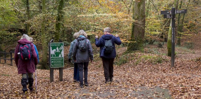 Photograph of Walking Route - Image 14