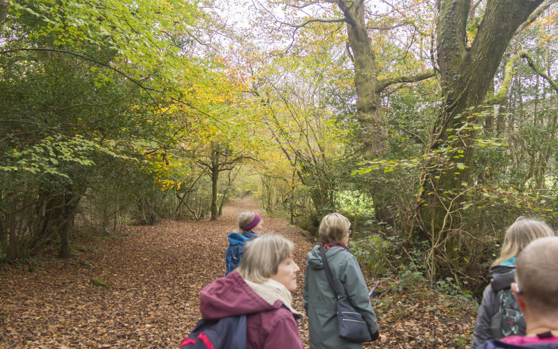 Photograph of Walking Route - Image 15