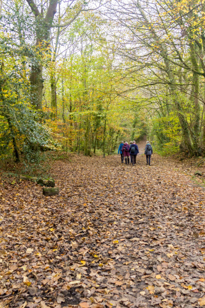 Photograph of Walking Route - Image 16