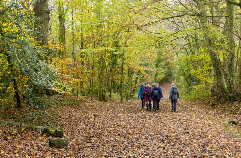 Photograph of Walking Route - Image 17