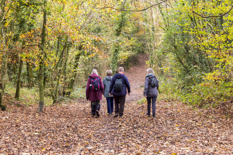 Photograph of Walking Route - Image 18