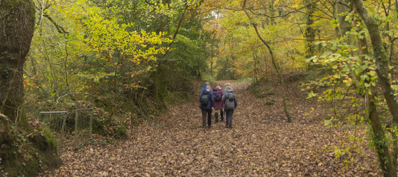 Photograph of Walking Route - Image 19