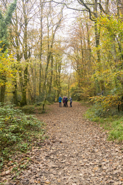 Photograph of Walking Route - Image 20